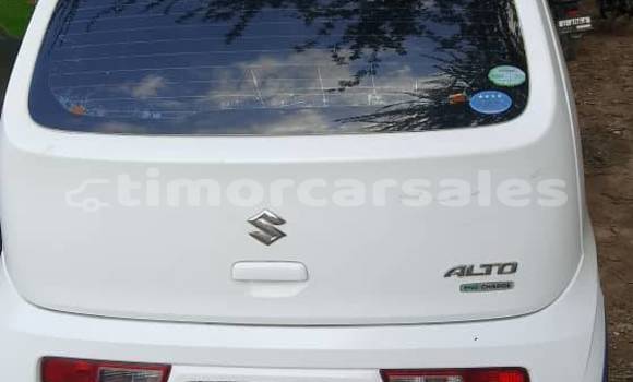 Buy Used Suzuki Alto White Car in Dili in Dili Buy Used Suzuki Alto White Car in Dili in Dili