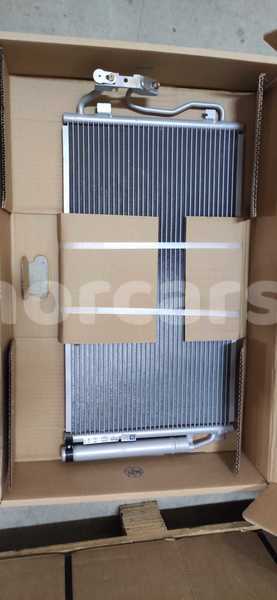 Big with watermark nissen condiensor