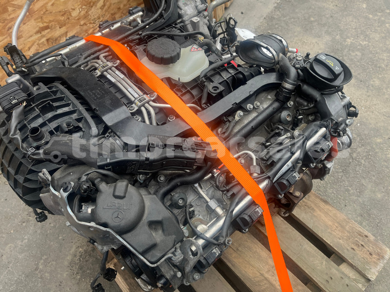 Big with watermark g