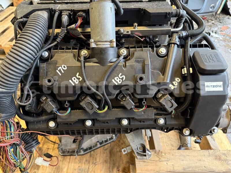 Big with watermark 8