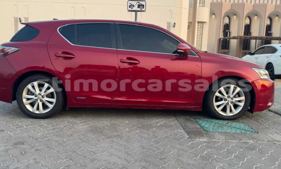 Buy Used Lexus CT Red Car in Dili in Dili Buy Used Lexus CT Red Car in Dili in Dili
