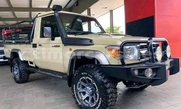 Buy Used Toyota Land Cruiser Beige Car in Cailaco in Bobonaro