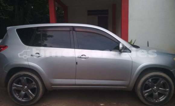 Buy Used Toyota RAV4 Other Car in Dili in Dili