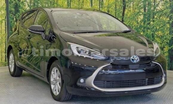 Buy Used Toyota Aqua Silver Car in Dili in Dili