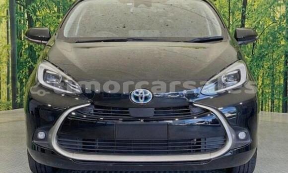 Buy Used Toyota Aqua Silver Car in Dili in Dili Buy Used Toyota Aqua Silver Car in Dili in Dili