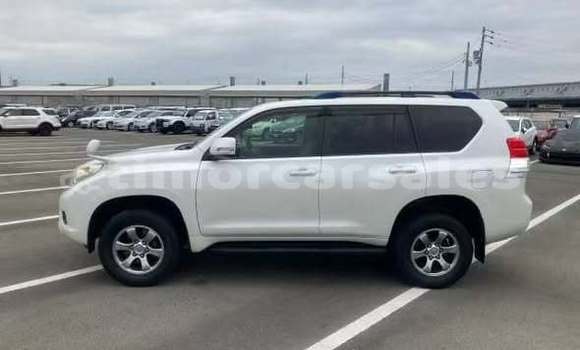 Buy Used Toyota Land Cruiser Other Car in Passabe in Ambeno ( Oecusse) Buy Used Toyota Land Cruiser Other Car in Passabe in Ambeno ( Oecusse)