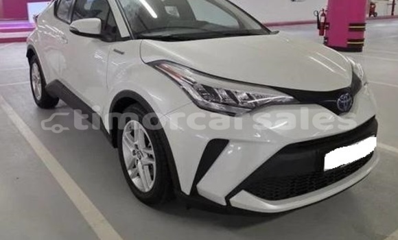 Buy Used Toyota C-HR White Car in Dili in Dili