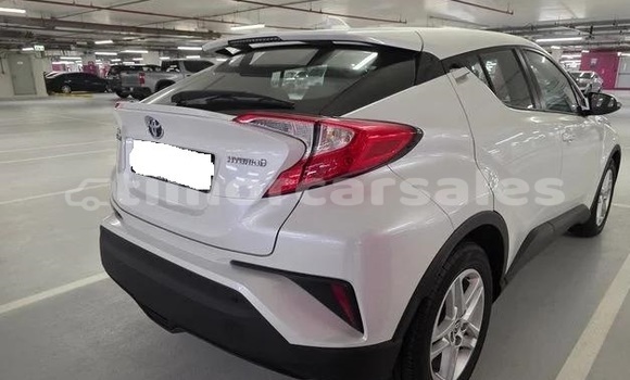 Buy Used Toyota C-HR White Car in Dili in Dili Buy Used Toyota C-HR White Car in Dili in Dili
