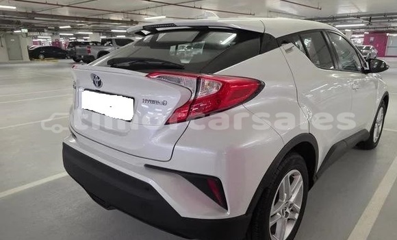 Buy Used Toyota C-HR White Car in Dili in Dili Buy Used Toyota C-HR White Car in Dili in Dili