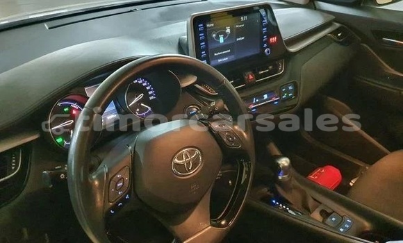 Buy Used Toyota C-HR White Car in Dili in Dili Buy Used Toyota C-HR White Car in Dili in Dili