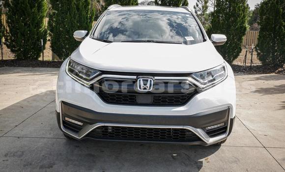 Buy Used Honda CRV White Car in Dili in Dili Buy Used Honda CRV White Car in Dili in Dili