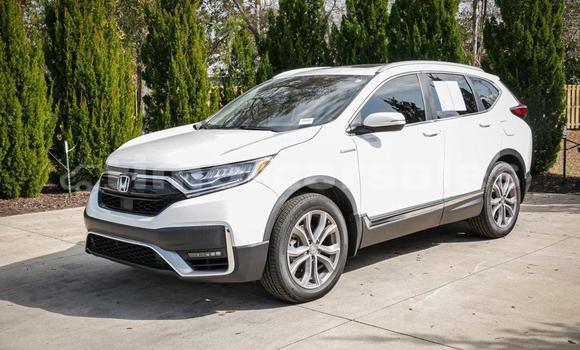 Buy Used Honda CRV White Car in Dili in Dili Buy Used Honda CRV White Car in Dili in Dili