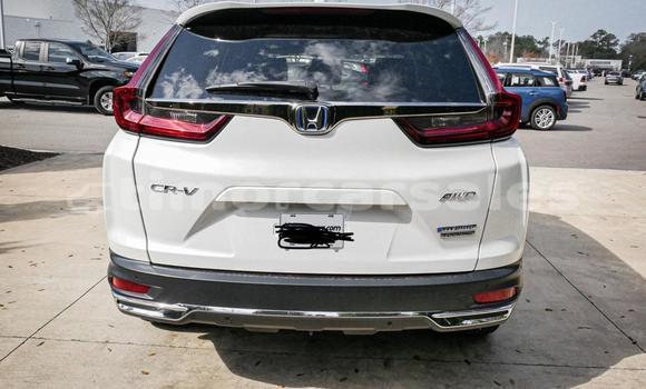 Buy Used Honda CRV White Car in Dili in Dili Buy Used Honda CRV White Car in Dili in Dili