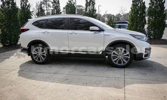 Buy Used Honda CRV White Car in Dili in Dili Buy Used Honda CRV White Car in Dili in Dili