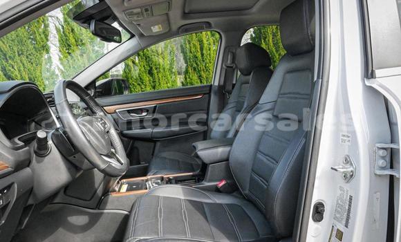 Buy Used Honda CRV White Car in Dili in Dili Buy Used Honda CRV White Car in Dili in Dili