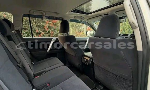 Buy Used Toyota Land Cruiser Prado White Car in Atsabe in Ermera Buy Used Toyota Land Cruiser Prado White Car in Atsabe in Ermera