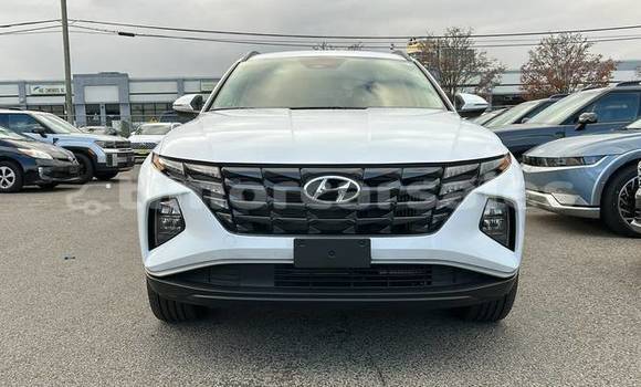 Buy Used Hyundai Tucson White Car in Dili in Dili Buy Used Hyundai Tucson White Car in Dili in Dili