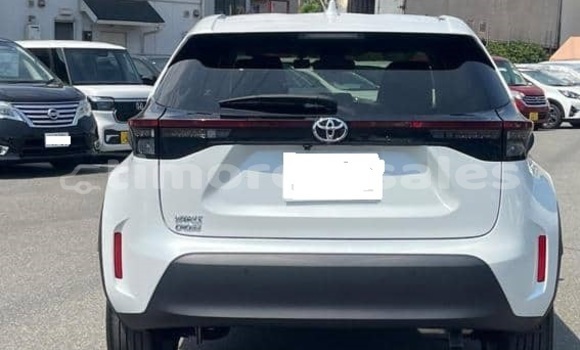 Buy Used Toyota Yaris White Car in Dili in Dili Buy Used Toyota Yaris White Car in Dili in Dili