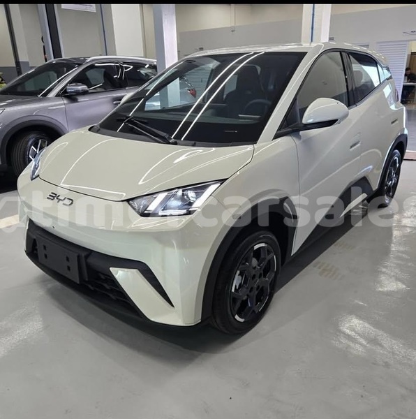 Big with watermark byd s6 dili dili 3529