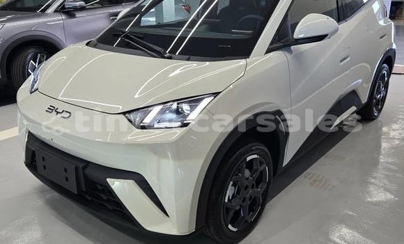 Buy Used BYD S6 White Car in Dili in Dili