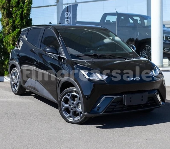 Big with watermark byd s6 dili dili 3529