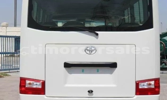 Buy Used Toyota Coaster White Car in Dili in Dili Buy Used Toyota Coaster White Car in Dili in Dili