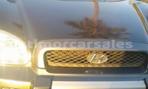 Buy Used Hyundai Santa Other Car in Dili in Dili