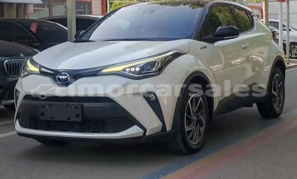 Buy Used Toyota C-HR White Car in Dili in Dili