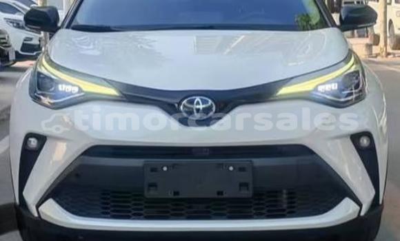 Buy Used Toyota C-HR White Car in Dili in Dili Buy Used Toyota C-HR White Car in Dili in Dili