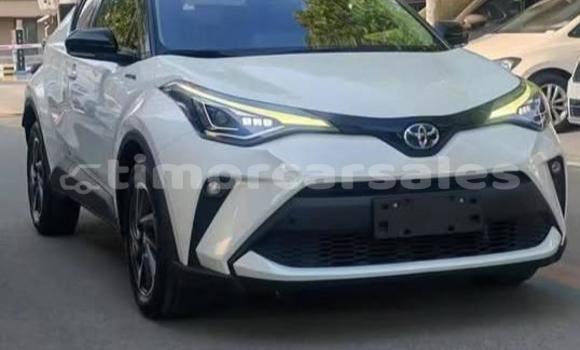 Buy Used Toyota C-HR White Car in Dili in Dili Buy Used Toyota C-HR White Car in Dili in Dili