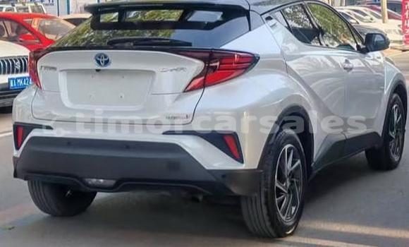 Buy Used Toyota C-HR White Car in Dili in Dili Buy Used Toyota C-HR White Car in Dili in Dili