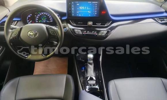 Buy Used Toyota C-HR White Car in Dili in Dili Buy Used Toyota C-HR White Car in Dili in Dili