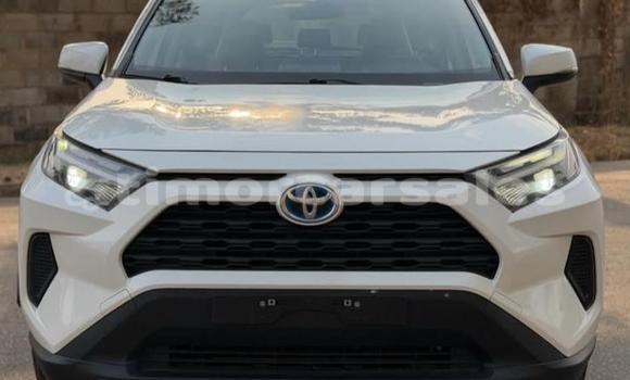 Buy Used Toyota RAV4 White Car in Dili in Dili