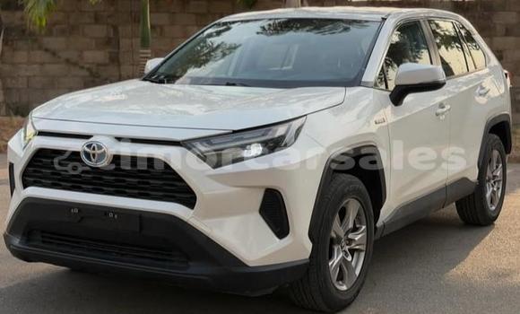 Buy Used Toyota RAV4 White Car in Dili in Dili Buy Used Toyota RAV4 White Car in Dili in Dili