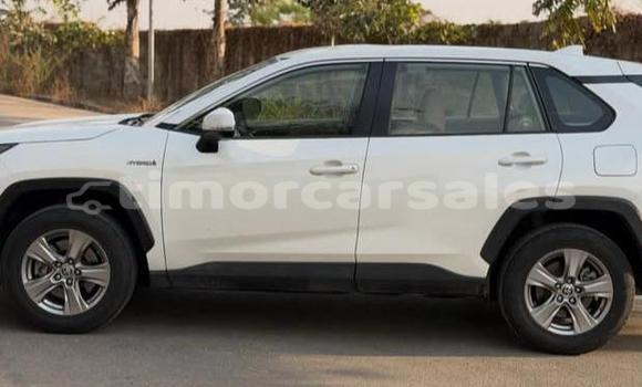 Buy Used Toyota RAV4 White Car in Dili in Dili Buy Used Toyota RAV4 White Car in Dili in Dili