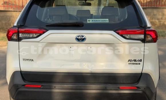 Buy Used Toyota RAV4 White Car in Dili in Dili Buy Used Toyota RAV4 White Car in Dili in Dili
