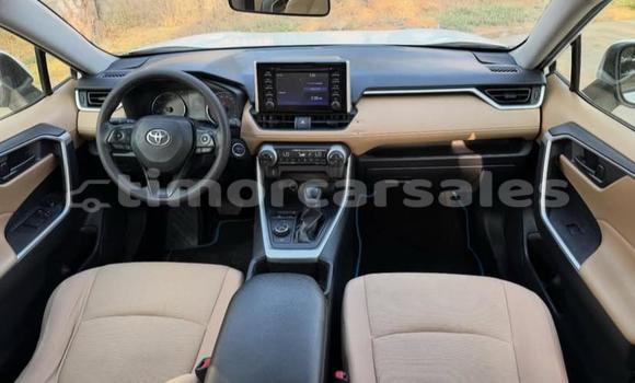 Buy Used Toyota RAV4 White Car in Dili in Dili Buy Used Toyota RAV4 White Car in Dili in Dili