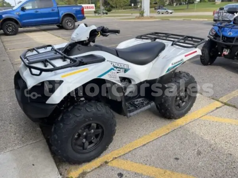 Big with watermark kawasaki brute force bobonaro auba 3625