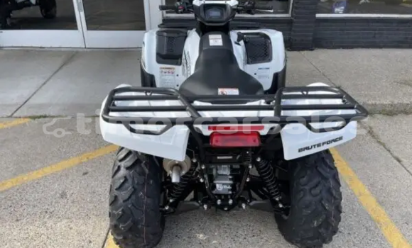Buy New Kawasaki Brute Force White Bike in Auba in Bobonaro Buy New Kawasaki Brute Force White Bike in Auba in Bobonaro