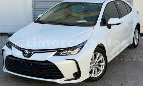Buy Used Toyota Corolla White Car in Dili in Dili