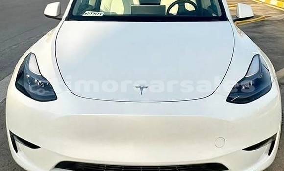 Buy Used Tesla Model X White Car in Dili in Dili