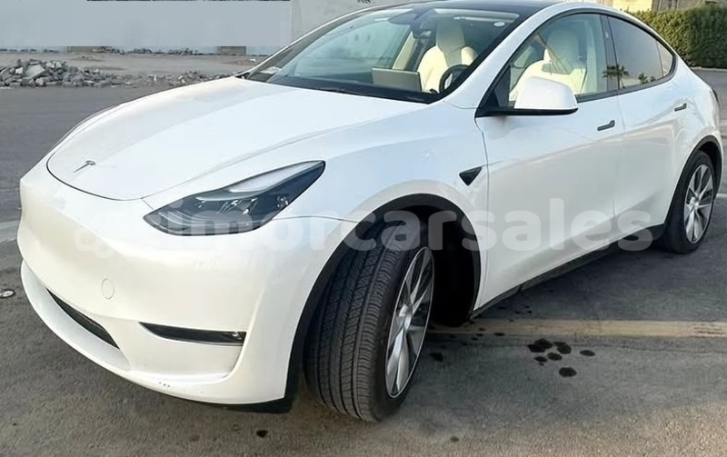 Big with watermark tesla model x dili dili 3665