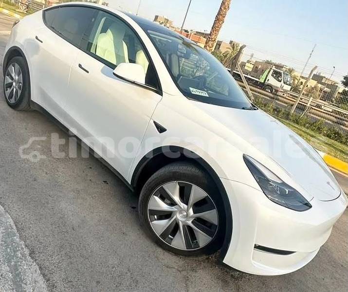 Big with watermark tesla model x dili dili 3665