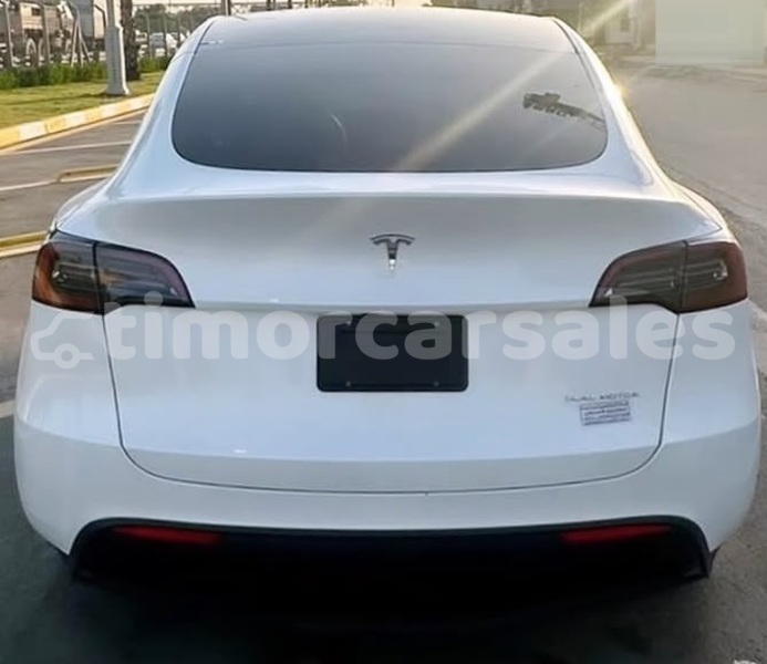 Big with watermark tesla model x dili dili 3665