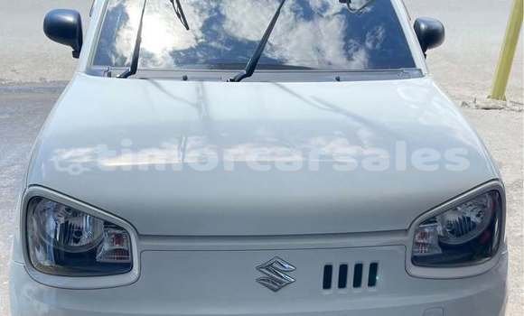 Buy Used Suzuki Alto White Car in Dili in Dili Buy Used Suzuki Alto White Car in Dili in Dili