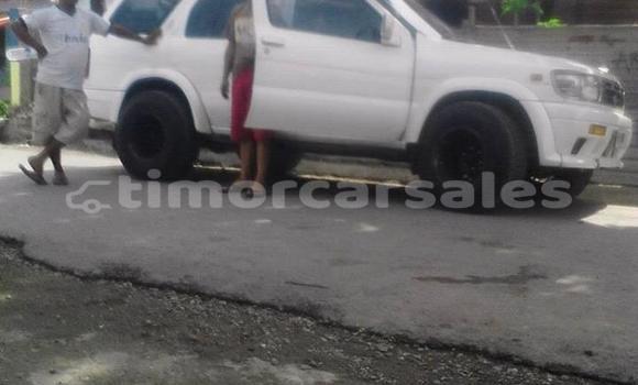 Buy Used Nissan Terrano Other Car in Ainaro in Ainaro