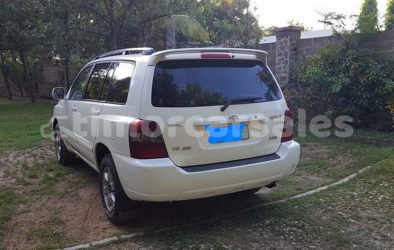 Big with watermark post id 5096 dx9pf