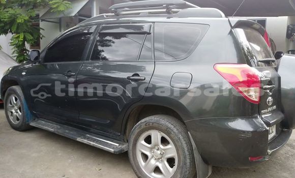 Buy Used Toyota RAV4 Other Car in Dili in Dili Buy Used Toyota RAV4 Other Car in Dili in Dili