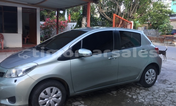 Medium with watermark img 5842