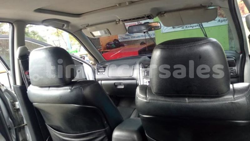 Big with watermark 30629329 194112211393369 244064733525704704 n